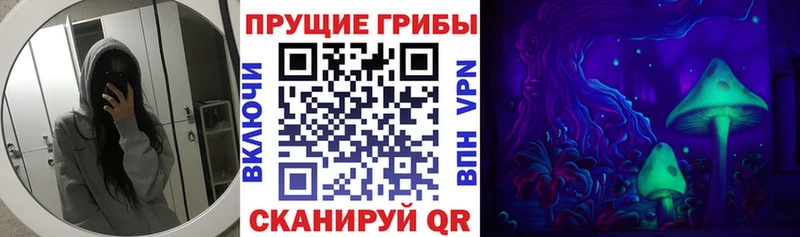 Галлюциногенные грибы Psilocybe  Купить где  Мещовск 